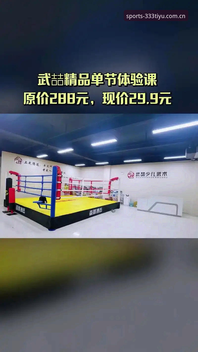 体育官网安全吗 333体育官网安全使用指南:从入口到下载的完整流程解析